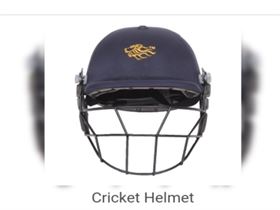 Cricket Face Helmet